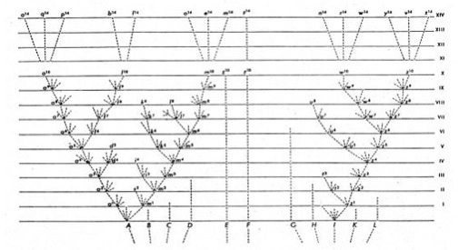 Arbre de vie de Charles Darwin